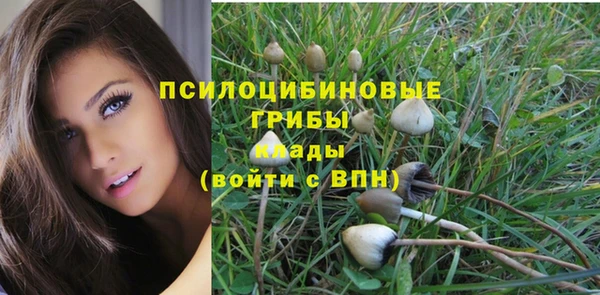 твердый Карпинск