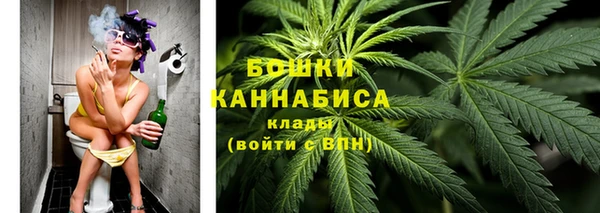 твердый Карпинск