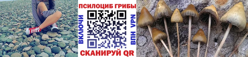 Галлюциногенные грибы GOLDEN TEACHER  Ногинск 